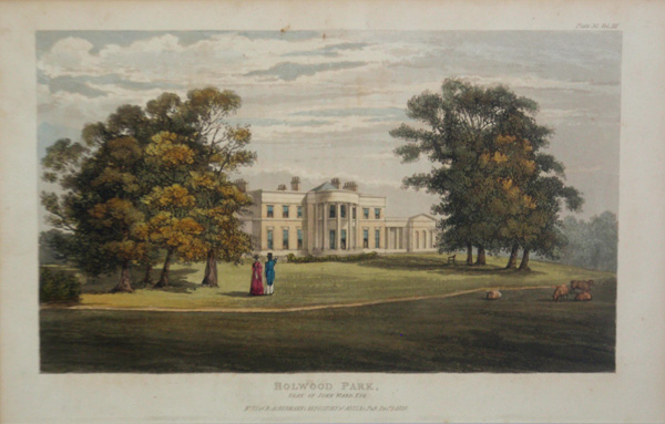 Holwood Park, the Seat of John Ward Esq
