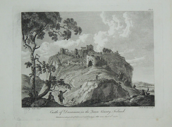View of Castle of Dunamau