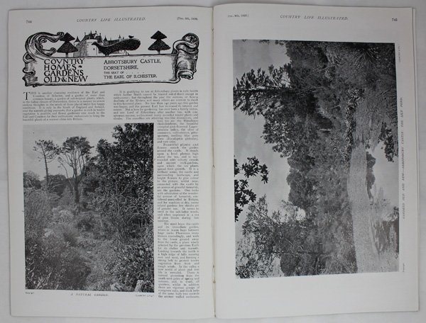 Abbotsbury Castle, the Seat of the Earl of Ilchester