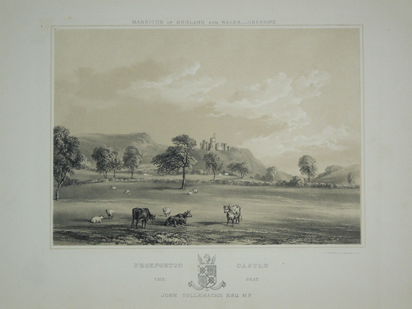 Peckforton Castle (third view), the Seat of John Tollemache, Esq
