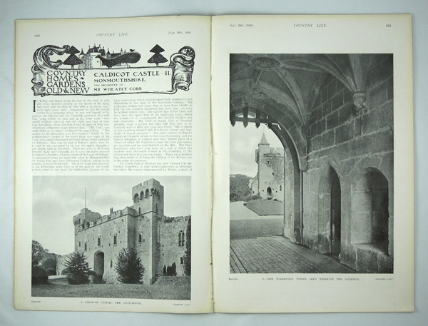 Caldicot Castle (Part 2)