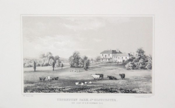 Thornbury Park, the Seat of H W Newman, Esq
