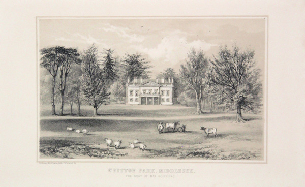 Whitton Park, the Seat of Mrs Gostling