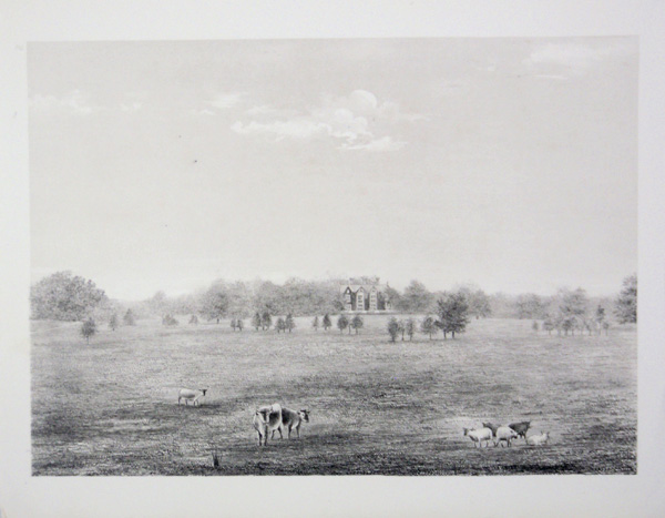 Clyffe House, the Seat of Charles Porcher, Esq