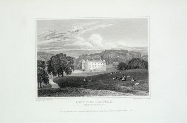 Dinevor Castle in South Wales, the Seat of Lord Dinevor
