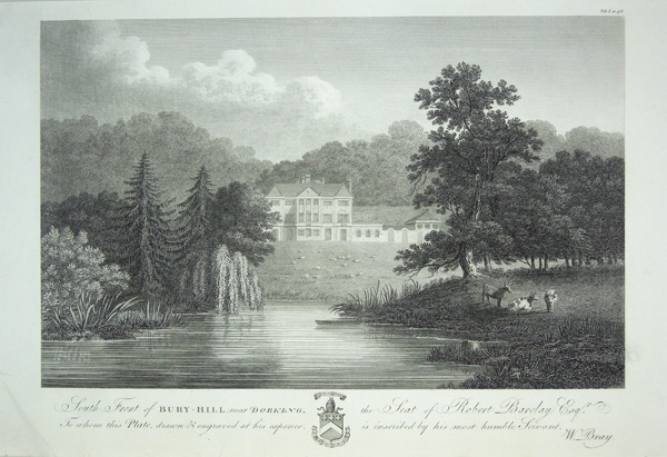 Bury Hill Near Dorking