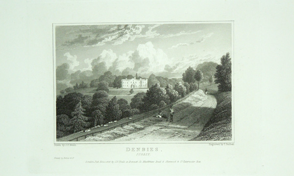 Denbies, The Seat of William Joseph Denison, Esq, M.P.