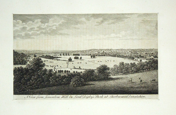 Jerusalem Hill in Lord Digby's Park (a view of)