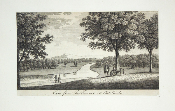 Oat lands (A view from the Terrace)