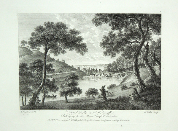 Copper Works, Belonging to The Mona Company.