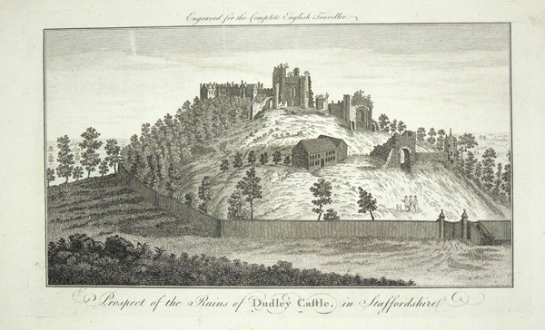 Dudley Castle (the ruins)
