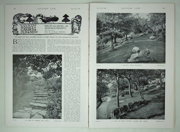 High Glanau (the woodland gardens), the Property of Mr H. Avray Tipping
