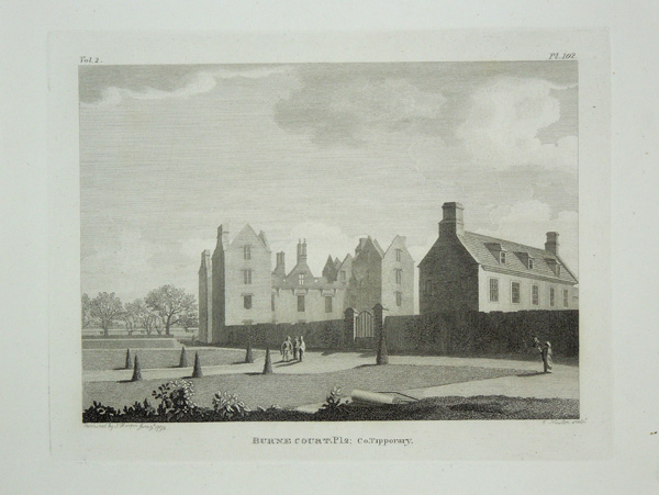 Burnt Court, Tipperary (Plate 2)
