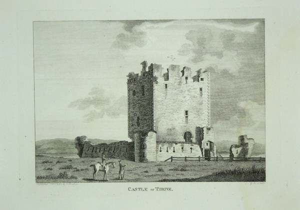 Castle of Thrive (Threave)