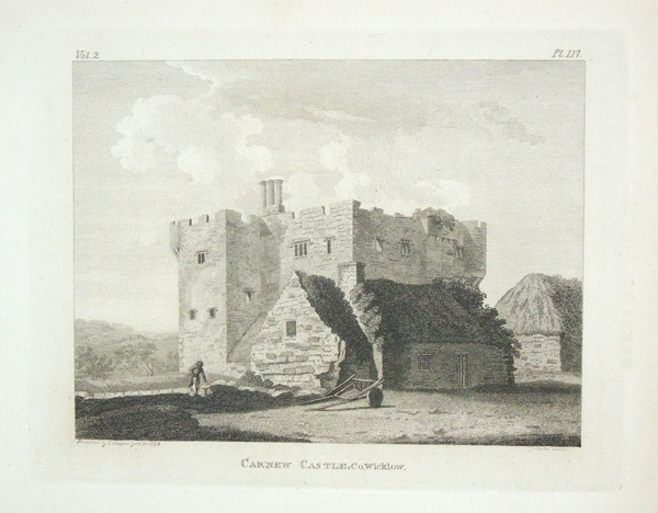 Carnew Castle