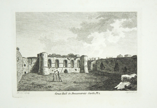 Beaumarais Castle (Great Hall) (Plate 2)