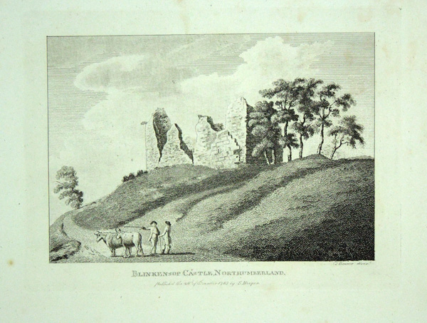 Blinkensop Castle