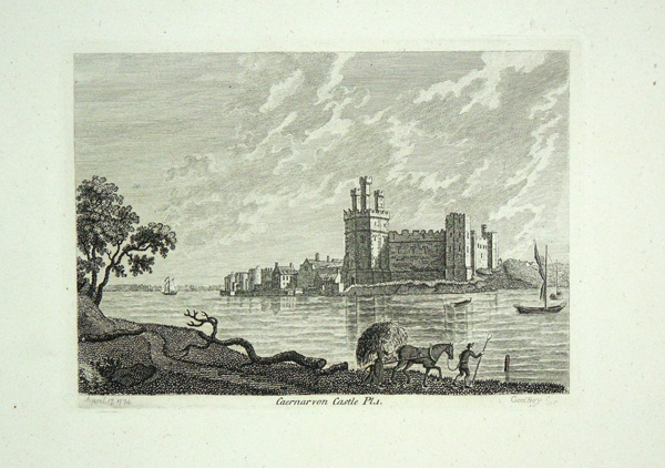 Caernarvon Castle (Plate 1) (Caernarfon)