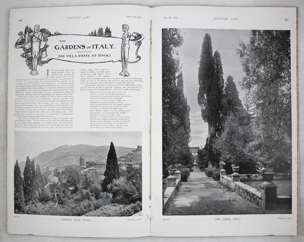 The Villa, D'este at Tivoli (The Gardens of Italy)