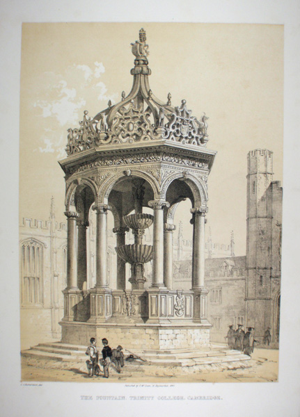 The Fountain, Trinity College