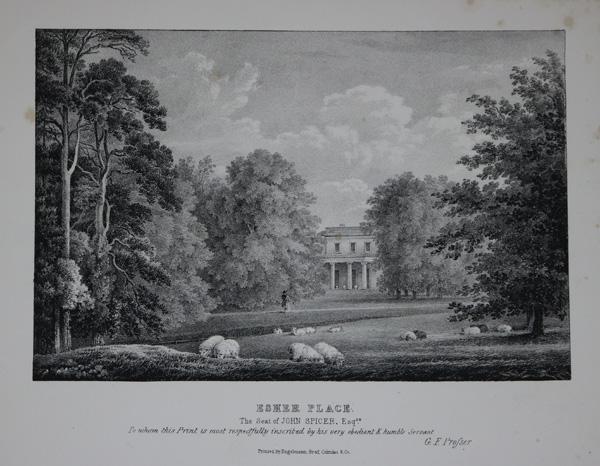 Esher Place, the Seat of John Spicer, Esq